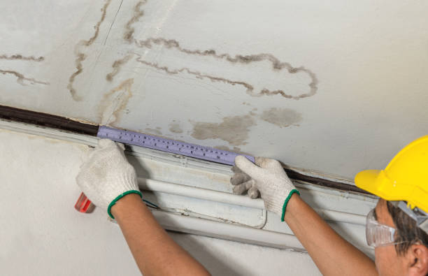 Reliable Water Damage Repair contractor in Nixon, TX by Hirex Water Damage